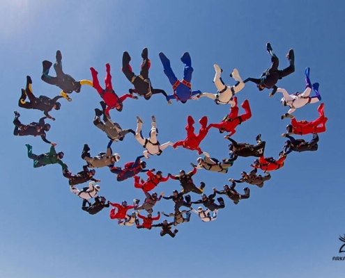 زبان مشترک با تیم فنی